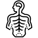 Nervous system icon showing inter-relatedness and referral of pain